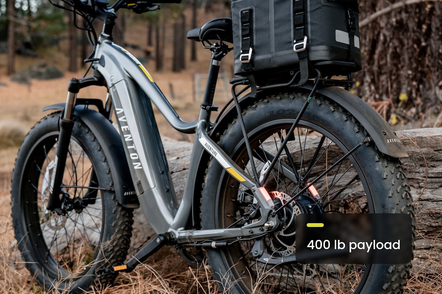 AventureD.jpg